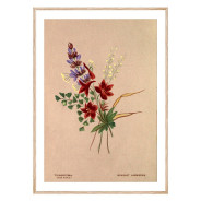 Комплект постеров в рамках "Botanical. Flowers"