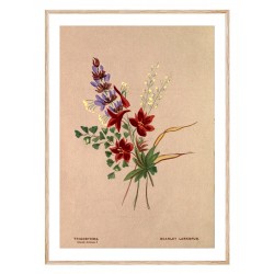 Комплект постерів в рамках "Botanical. Flowers"