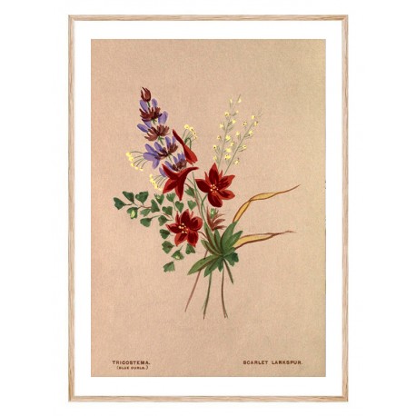 Комплект постеров в рамках "Botanical. Flowers"
