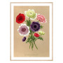 Комплект постеров в рамках "Botanical. Flowers"