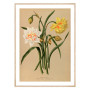 Комплект постеров в рамках "Botanical. Flowers"