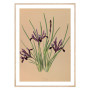 Комплект постеров в рамках "Botanical. Flowers"