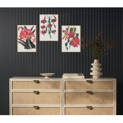 Комплект постеров в рамках "Botanical. Flowers"