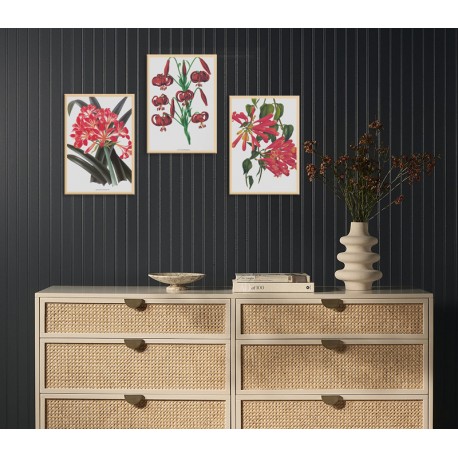 Комплект постеров в рамках "Botanical. Flowers"