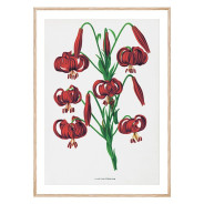 Комплект постеров в рамках "Botanical. Flowers"