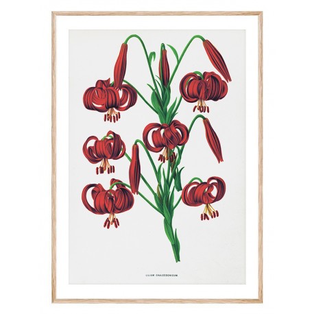 Комплект постеров в рамках "Botanical. Flowers"