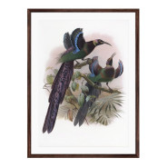 Комплект постерів в рамках "Botanical. Birds"