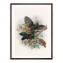Комплект постеров в рамках "Botanical. Birds"