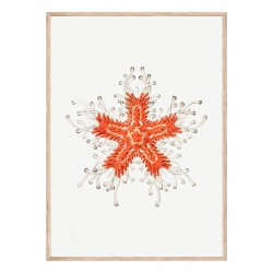 Комплект постеров в рамках "Винтажные иллюстрации. Nautical"