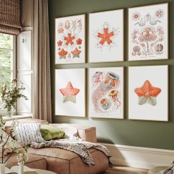 Комплект постеров в рамках "Винтажные иллюстрации. Nautical"