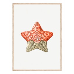 Комплект постеров в рамках "Винтажные иллюстрации. Nautical"