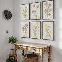 Комплект постеров в рамках "Винтажные иллюстрации. Flowers"
