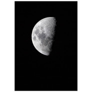 Постер "Moon"