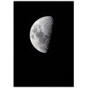 Постер "Moon"