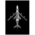 Постер "Space Shuttle Endeavor Mounted On 747 - 2008"