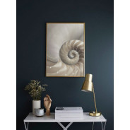 Постер "Nautilus Shell"