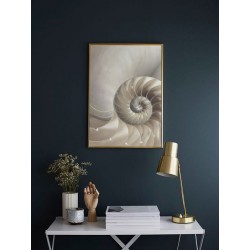 Постер "Nautilus Shell"