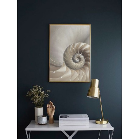 Постер "Nautilus Shell"