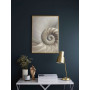 Постер "Nautilus Shell"
