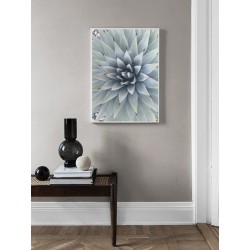 Постер "Голубая агава"