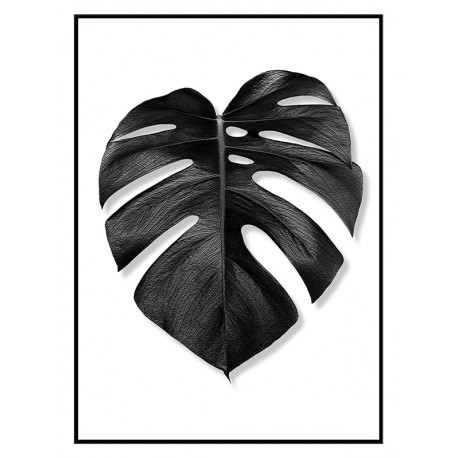 Постер "Monstera"
