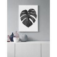 Постер "Monstera"