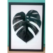 Постер "Monstera"