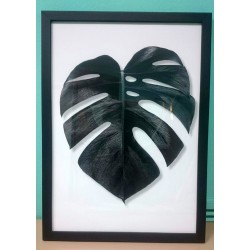 Постер "Monstera"
