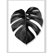 Постер "Monstera"