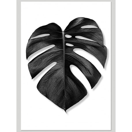 Постер "Monstera"