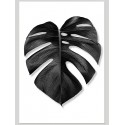 Постер "Monstera"