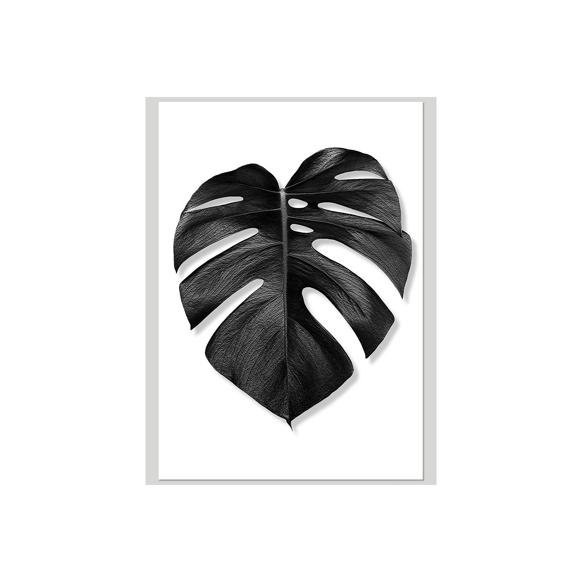 Постер "Monstera"