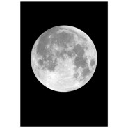 Постер "Moon"