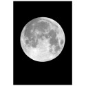Постер "Moon"