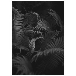 Комплект постеров "Ох!"