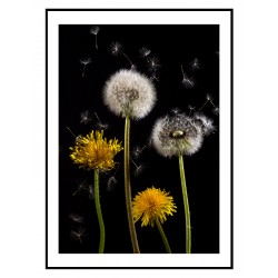 Комплект постерів в рамках "Easy"