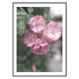 Постер "Rose" Постер "Rose"