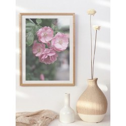 Постер "Rose"