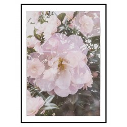 Постер "Rose"