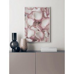 Постер "Пелюстки"