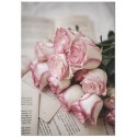 Постер "Rose"