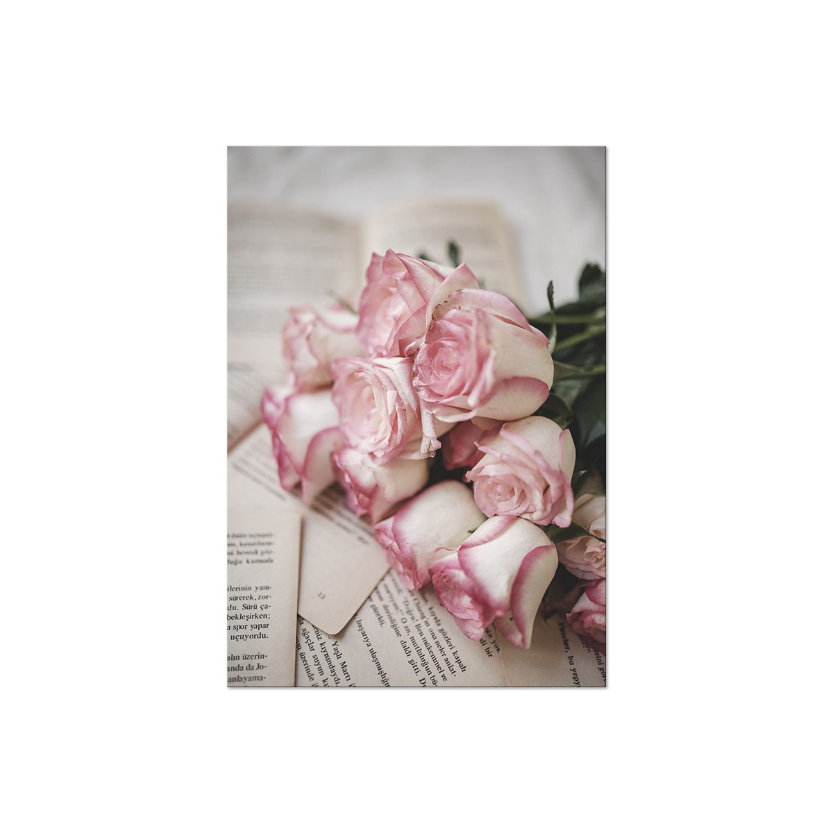 Постер "Rose"