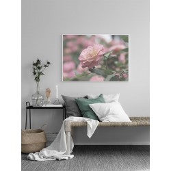 Постер "Rose"