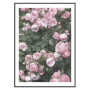 Постер "Rose"