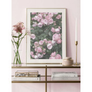 Постер "Rose"