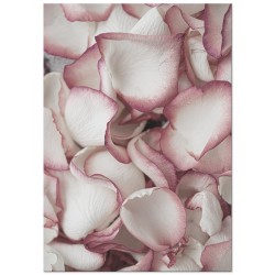 Комплект постеров "Rose"