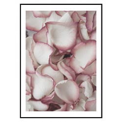 Комплект постеров в рамках "Rose"