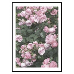 Комплект постеров в рамках "Rose"