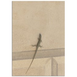 Комплект постеров "Путешествие"