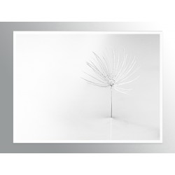 Комплект постеров в рамках "Aesthetic White"